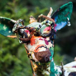 Urban Nation Biennale 2019