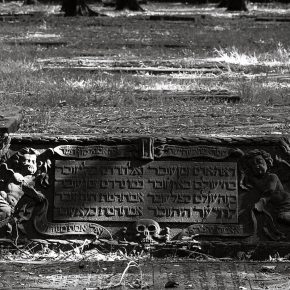 jüdischer Friedhof Hamburg Altona