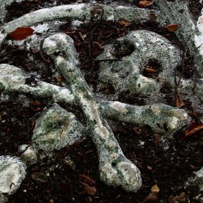jüdischer Friedhof Hamburg Altona