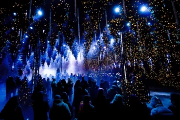 In blaues Licht getauchtes, auf dem Kopf stehendes Winterwunderland